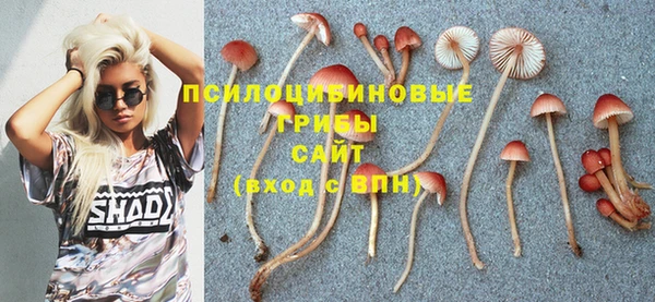 MDMA Алзамай