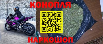 прущие грибы Сланцы