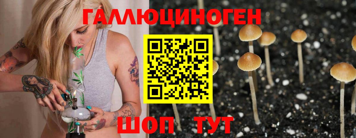 Галлюциногенные грибы мухоморы  Вход с VPN  Ленинск-Кузнецкий  Галлюциногенные грибы GOLDEN TEACHER 